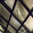 20081210_068